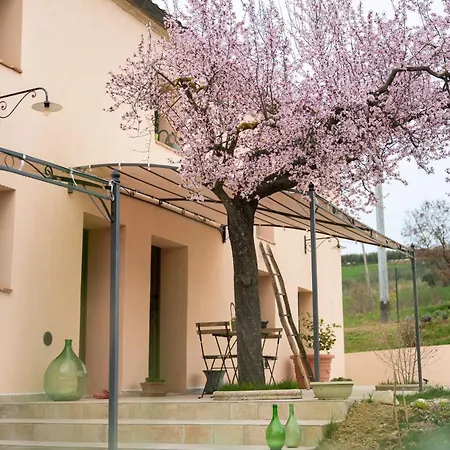 Nocleg ze śniadaniem Le Rondini Ostra Senigallia Ancona Casine (Ancona)