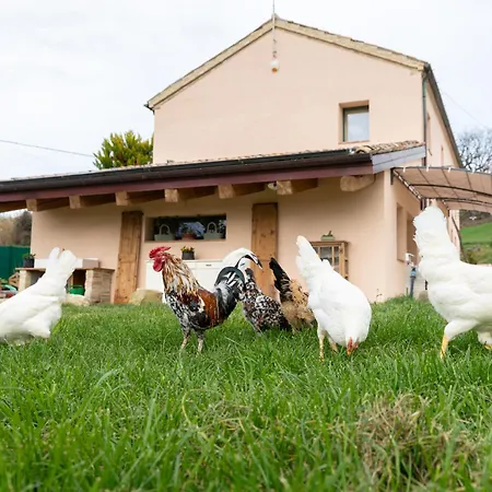 Le Rondini Ostra Senigallia Ancona Nocleg ze śniadaniem Casine (Ancona)