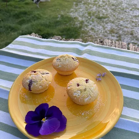 Nocleg ze śniadaniem Le Rondini Ostra Senigallia Ancona Casine (Ancona)